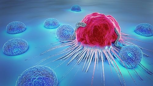 Inmunoterapia para que el sistema inmunitario actúe contra las células cancerosas
