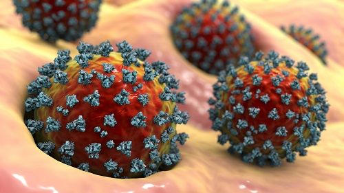 Coronavirus infectando células humanas