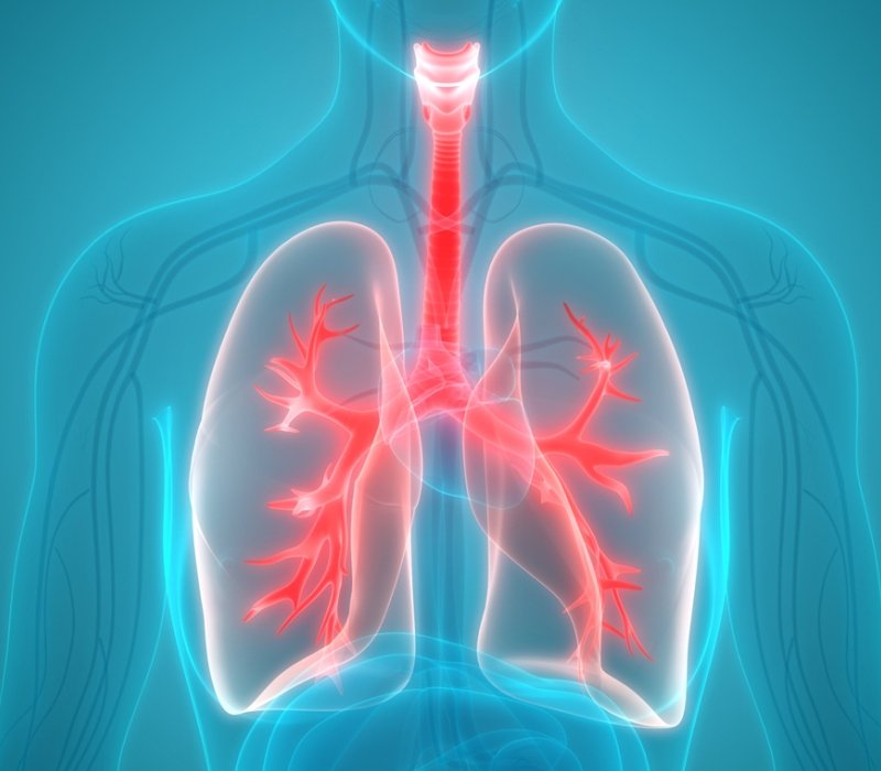 Anatomía de los pulmones