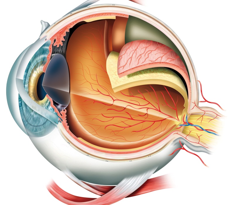 genes-distrofia-retina