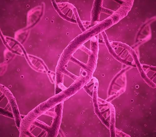 Filamento ADN en genética