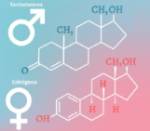 Hormonas sexuales: testosterona y estrógeno