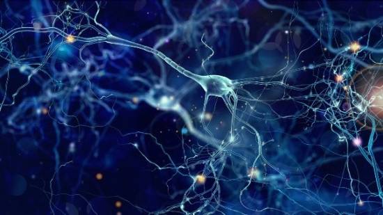 Células de las neuronas del cerebro