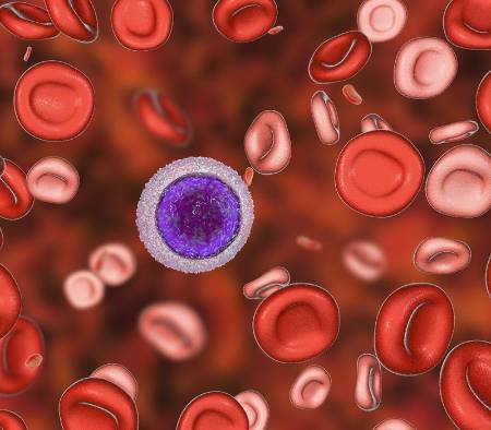 Relación entre anemia y menstruación