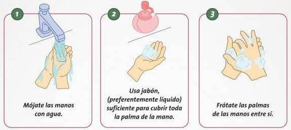Paso 1, 2 y 3: Mojar y frotar las manos