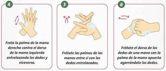 Paso 4,5 y 6: Lavar las manos