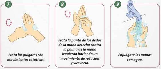 Paso 7,8 y 9: Cómo lavar las manos