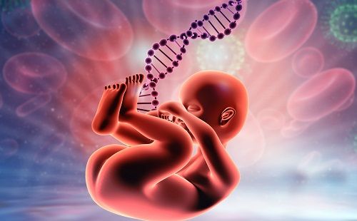 Test genéticos en el embarazo
