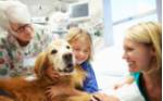 Terapia con perros para niños