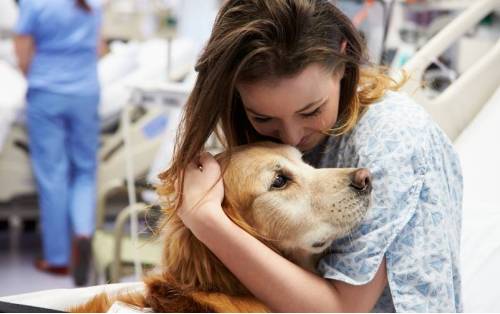 Los niños pueden recibir a su perro en el hospital