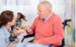 La perroterapia facilita la recuperación de los mayores