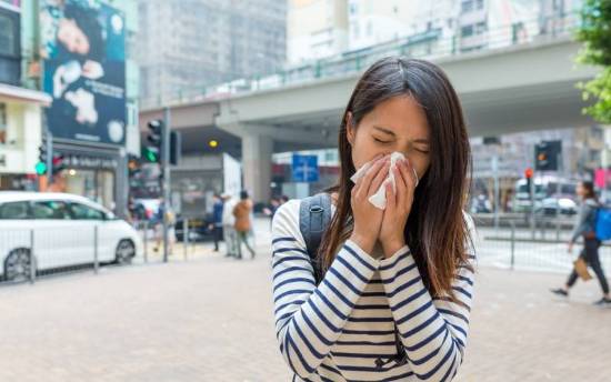 Efecto de la contaminación en la alergia al polen
