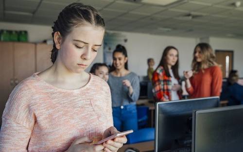 Ciberacoso o ciberbullying, el acoso escolar también se puede realizar en internet